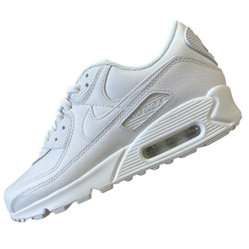 Nike Air Max 90 LTR